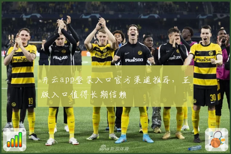 开云app登录入口官方渠道推荐，正版入口值得长期信赖